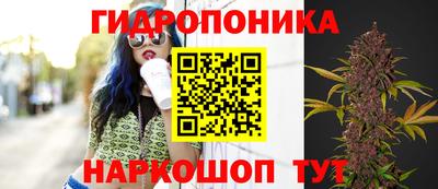 mdpv Дубна
