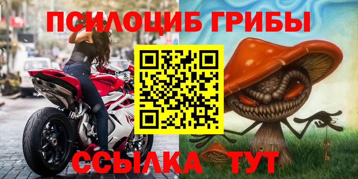 Псилоцибиновые грибы Magic Shrooms Зима